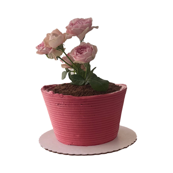 Blush Pot Mini Cake