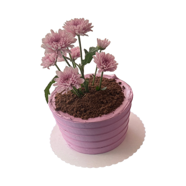 Lavender Pot Mini Cake