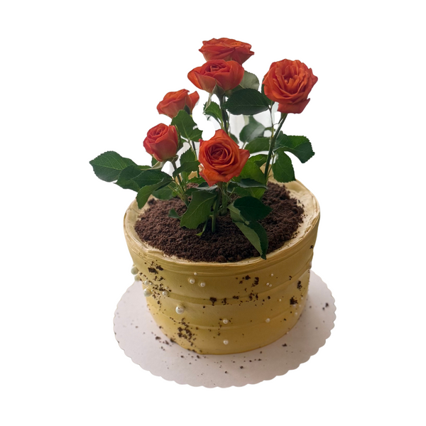 Blooming Pot Mini Cake
