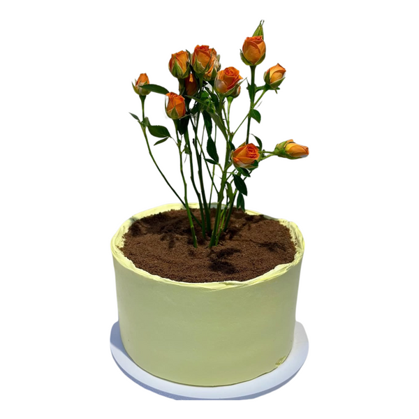 Pot Cake with Orange Baby Roses