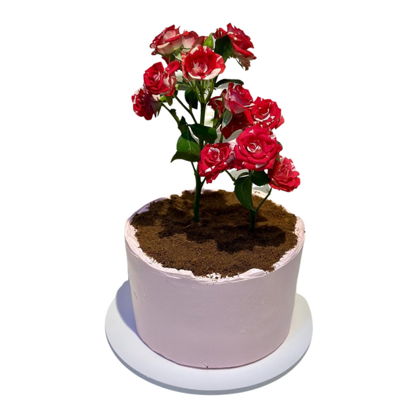 Pot Cake with Red Flowers