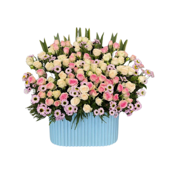 Whispers of Elegance Box