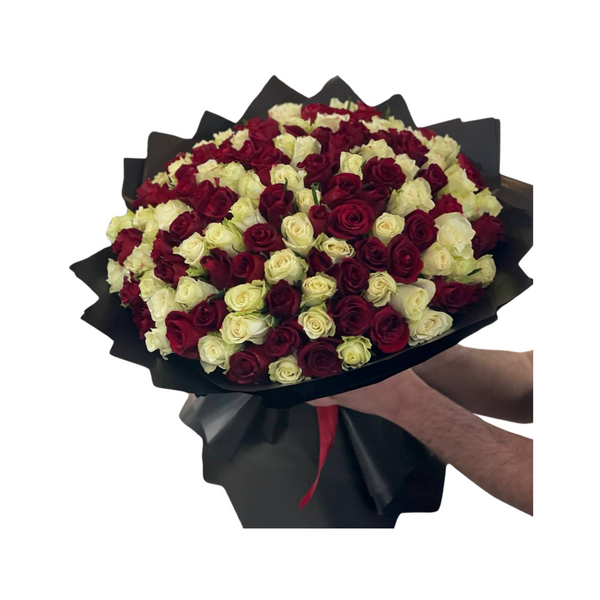 Crimson Elegance of Roses